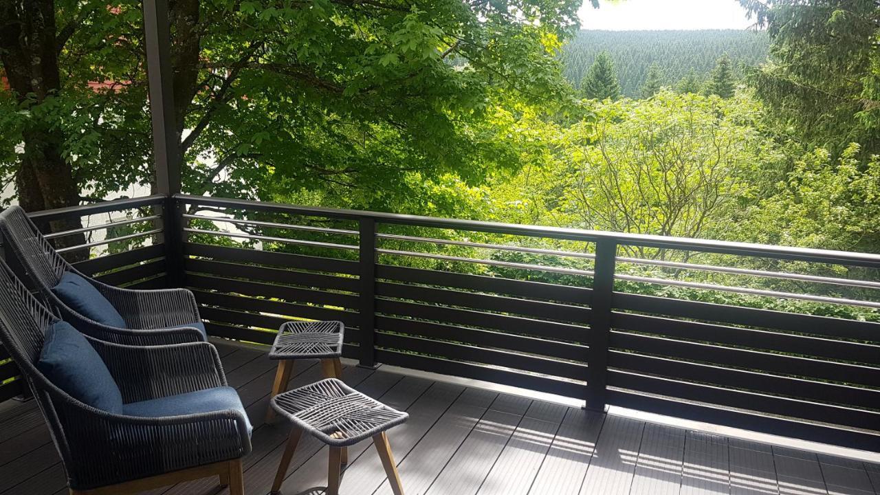 Pension & Ferienwohnung Oberhof 810 M Exterior foto